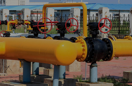 La società del gruppo ha ottenuto una licenza di produzione per prodotti industriali