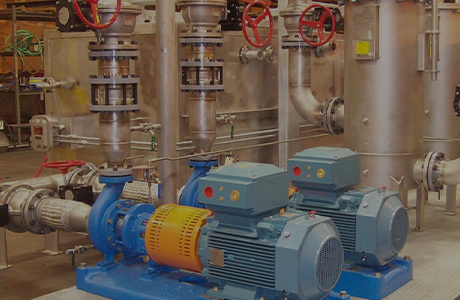 Bangpu Group ha consegnato con successo il progetto di trasferimento tecnologico venezuelano