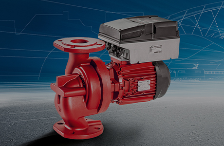 Certificato di solvibilità [livello AAA]